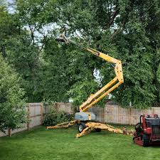 Seasonal Cleanup (Spring/Fall) in El Campo, TX